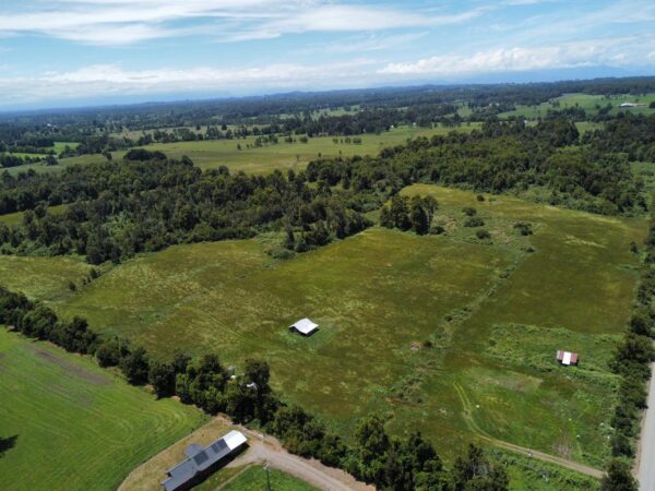 Predio Agrícola en Venta Osorno