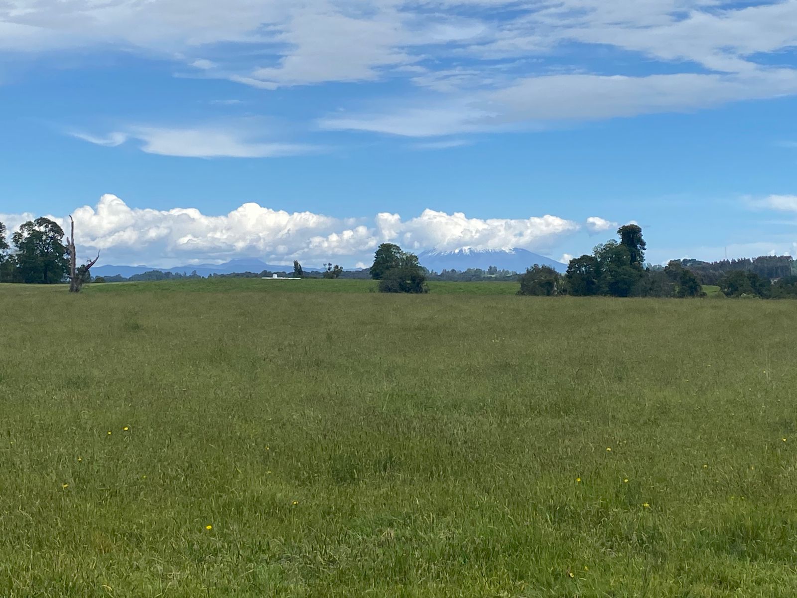 Campo de 51 Hectáreas en Entre Lagos - Imagen 2