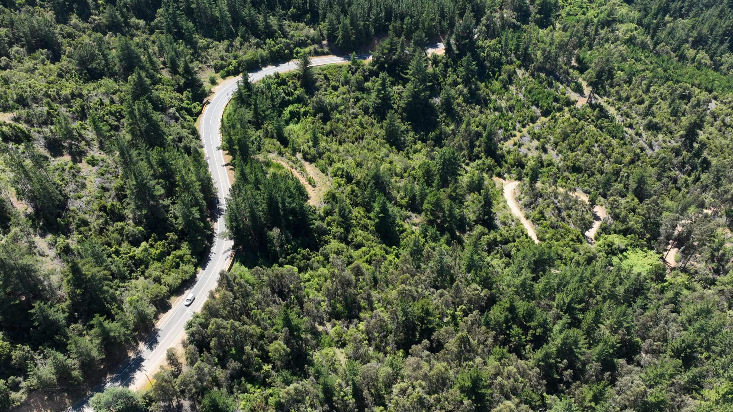 Campo Bosque Batuco