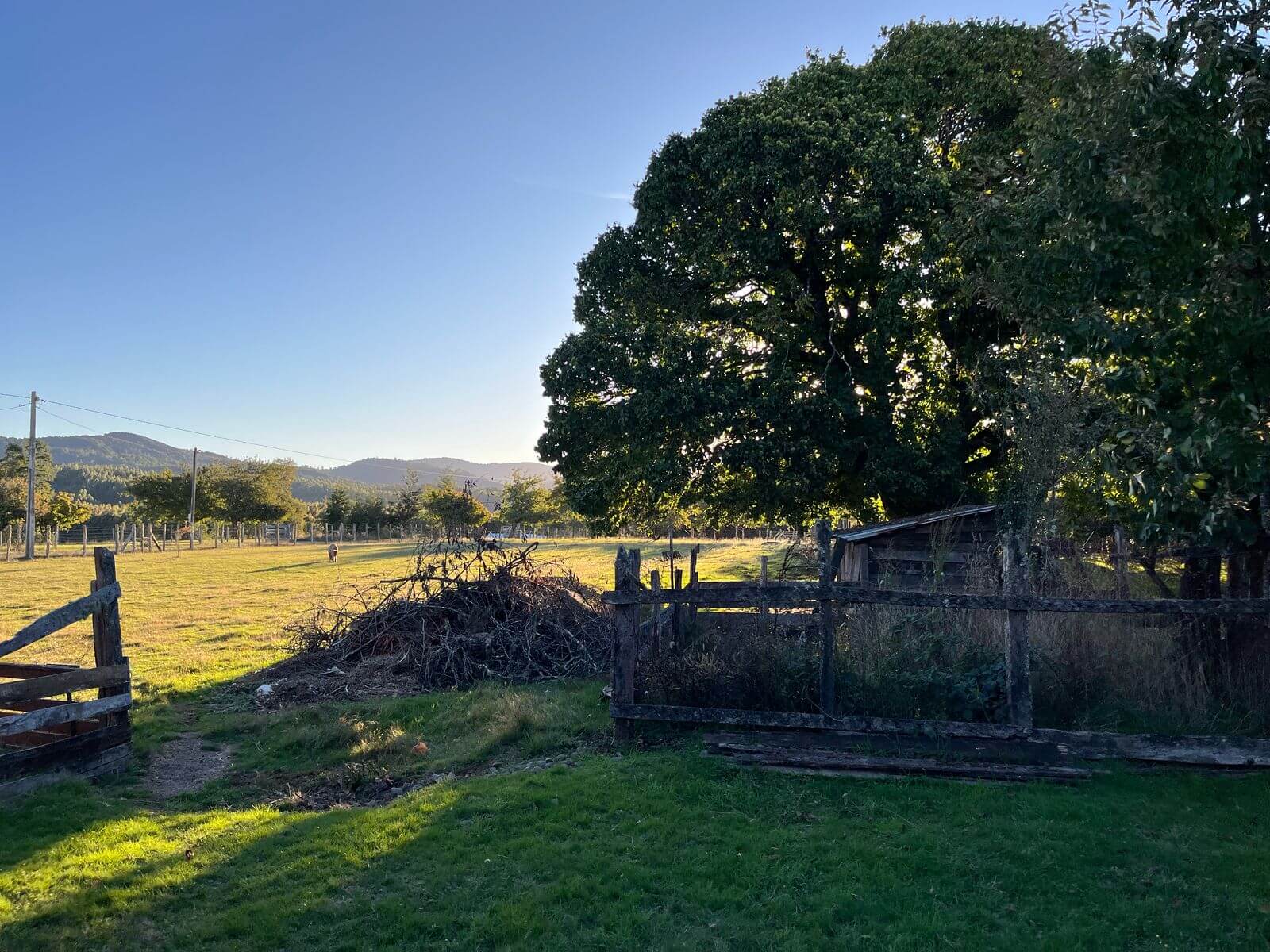 Se vende casa con amplio terreno en Purranque, Región de Los Lagos – Sector Rural